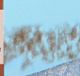 Major House Problems such as Dampness and Condensation. Housing Course, UK
